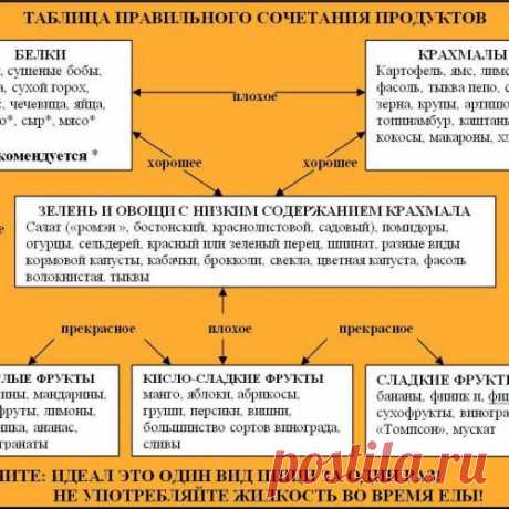 9 золотых правил совместимости продуктов питания.