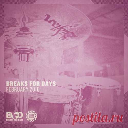 The Drum Broker Breaks for Days February 2016 WAV  | 32 MB

Breaks for Days - February 2016 Information:
• 29 new, original live drum breaks for February 2016
• Variety of breaks ranging from roomy, to tight mic placement
• 16bit .wav format for sampler and DAW compatibility