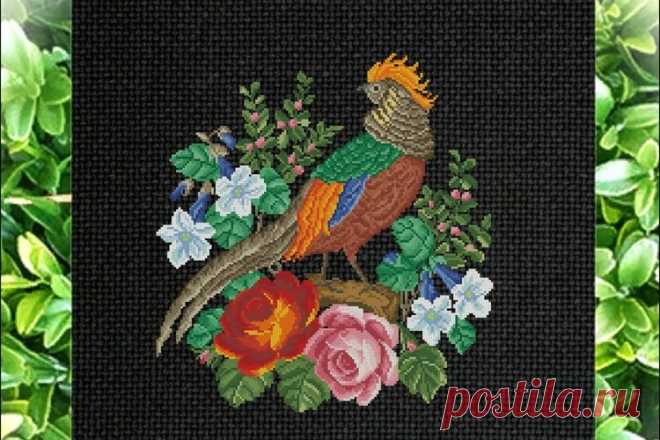 Vintage Cross Stitch Scheme Pheasant 8 (1985191) | Cross Stitch | Design Bundles Download Vintage Cross Stitch Scheme Pheasant 8 (1985191) today! We have a huge range of Cross Stitch products available. Commercial License Included.
