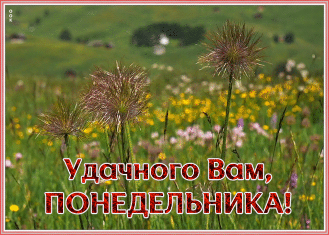 Открытка удачного понедельника