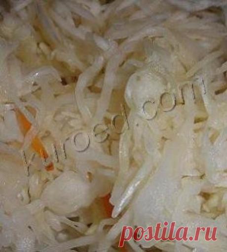 РЕЦЕПТЫ | Квашеная капуста