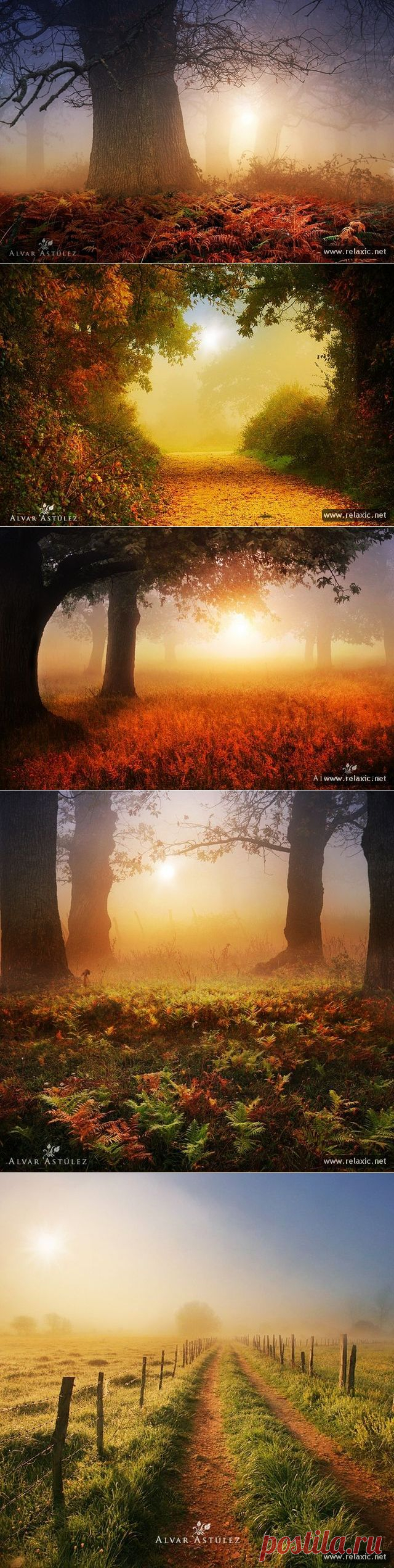 Мир природы Альвара Астулеза (79 фото) | Релаксик