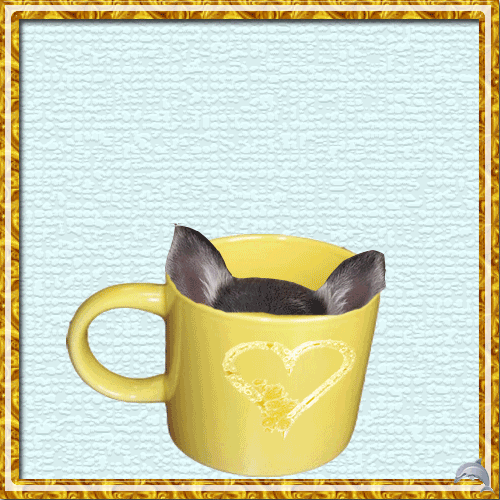 Кофе. Много рецептов..