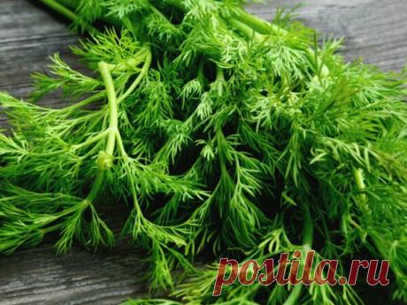 Составлен список овощей и фруктов, которые содержат те же вещества, что и препараты от рака | Здоровье в России и мире | Яндекс Дзен