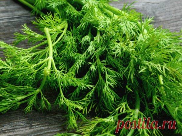 Составлен список овощей и фруктов, которые содержат те же вещества, что и препараты от рака | Здоровье в России и мире | Яндекс Дзен