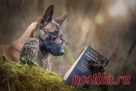 Натюрморт с книгой