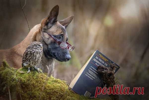 Натюрморт с книгой