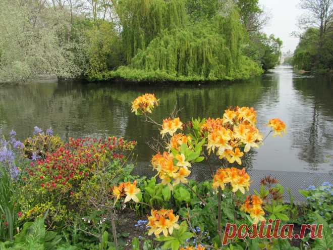 Иногда в поездке получаются удачные фото и тогда ими с радостью делишься:)