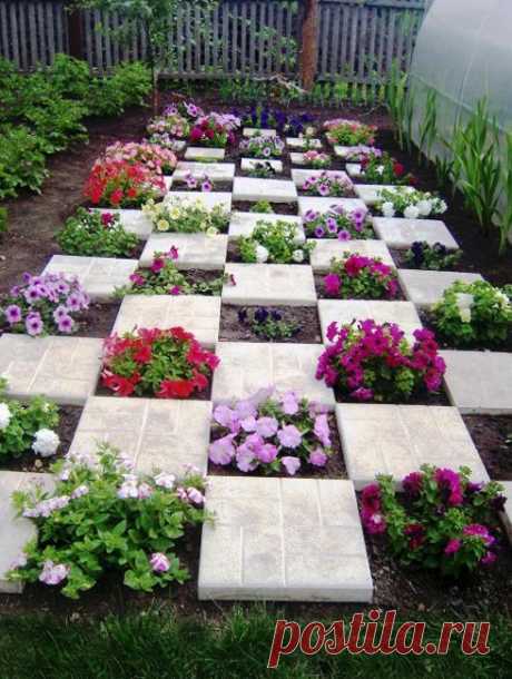 15 Striking Petunia Centerpiece Ideas for Garden Design and Yard Landscaping