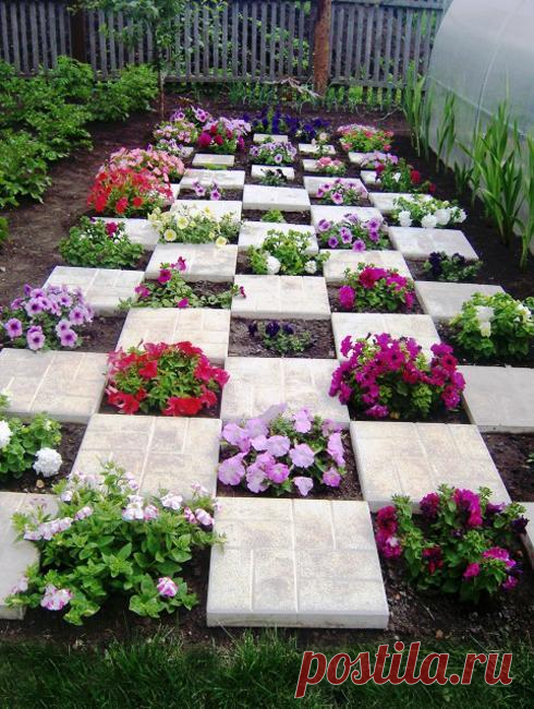 15 Striking Petunia Centerpiece Ideas for Garden Design and Yard Landscaping