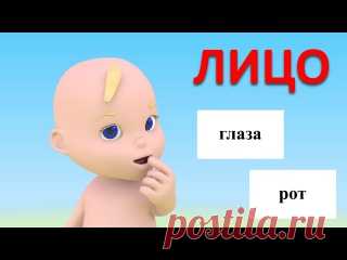 Развивающие мультфильмы для детей от 12 до 36 месяцев.

1. Учим части тела.
2. Учим названия 10 фруктов
3. Пчёлка и геометрические формы - часть 1.
Показать полностью…