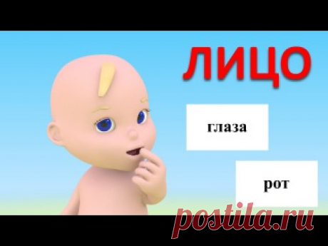 Развивающие мультфильмы для детей от 12 до 36 месяцев.

1. Учим части тела.
2. Учим названия 10 фруктов
3. Пчёлка и геометрические формы - часть 1.
Показать полностью…