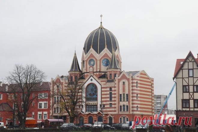 Зашла в Калининграде в синагогу: что увидела внутри | Соло-путешествия | Яндекс Дзен