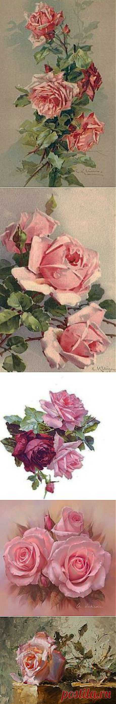 Rose disegnate on Pinterest | 213 Pins