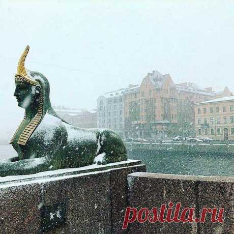Пин на доске Спб