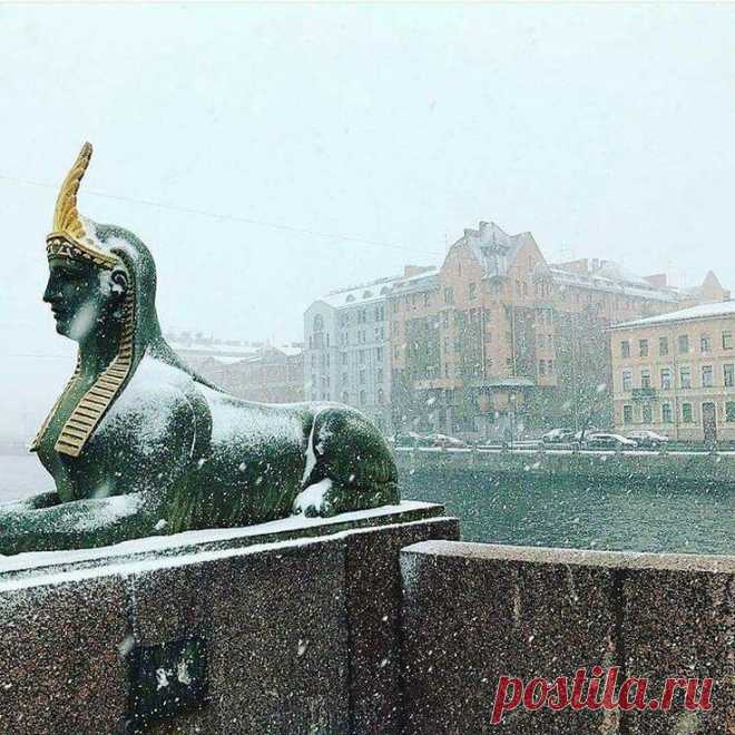 Пин на доске Спб