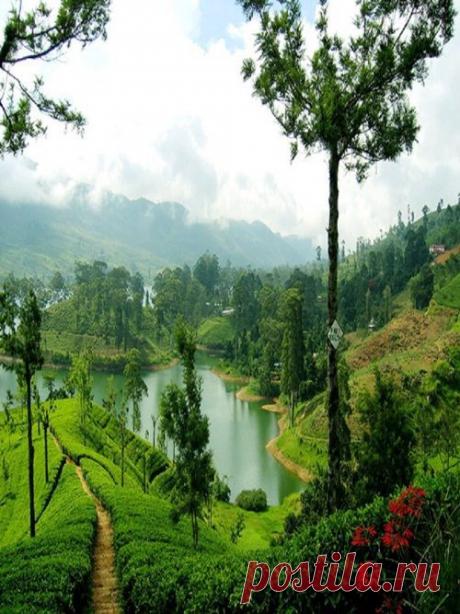 Sri Lanka - Nuwara Eliya | Beautiful Places