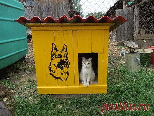 Koтики — милые и пушистые зас*анцы!