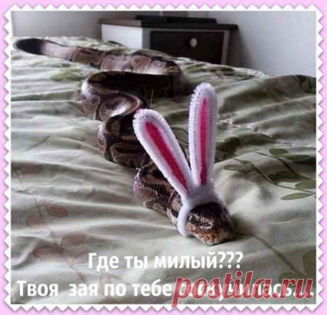 Хи-хи-хи...ржака!
Ольга Дубинко