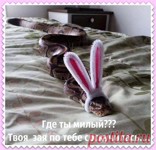 Хи-хи-хи...ржака!
Ольга Дубинко