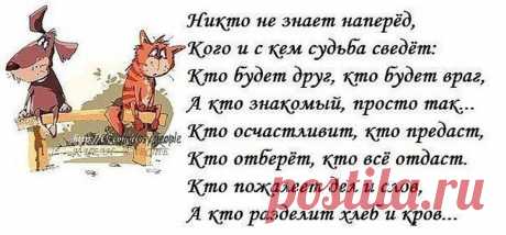 (13) Гульжан Амантаева