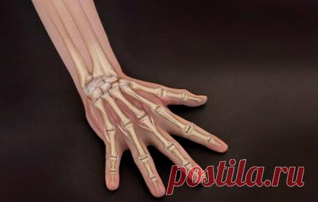 Узнайте, как защитить свои запястья на практике Занятия для начинающих