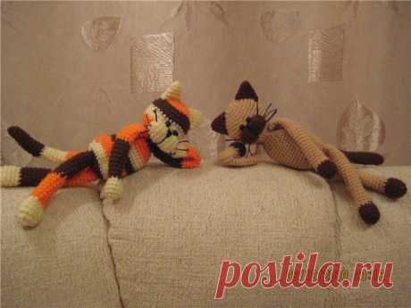 Котики)