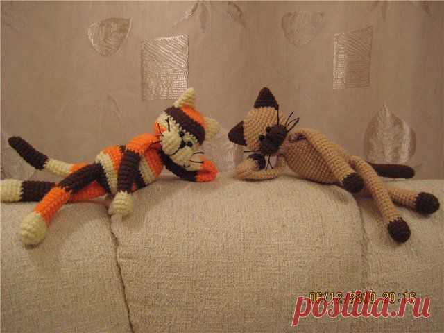 Котики)