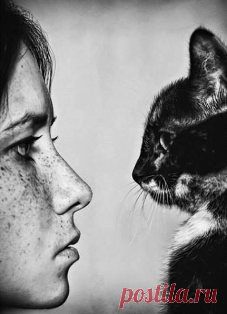 Невозможно заставить себя не чувствовать. Чувства - они как кошки. Ты можешь их любить, обожать, можешь на них злиться, но поделать с ними не можешь ничего. Кошки и чувства действуют вне той сферы, на которую способен влиять человек.