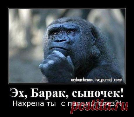 Закон и Порядок