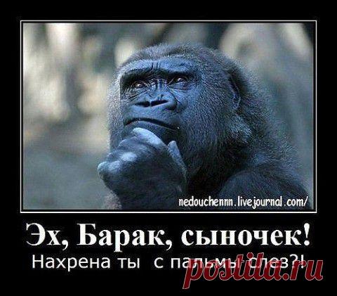 Закон и Порядок