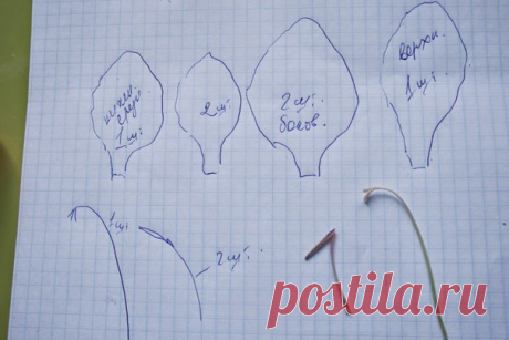 #Гладилус разбор + #выкройка_цветка