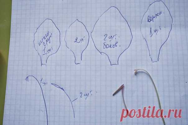 #Гладилус разбор + #выкройка_цветка