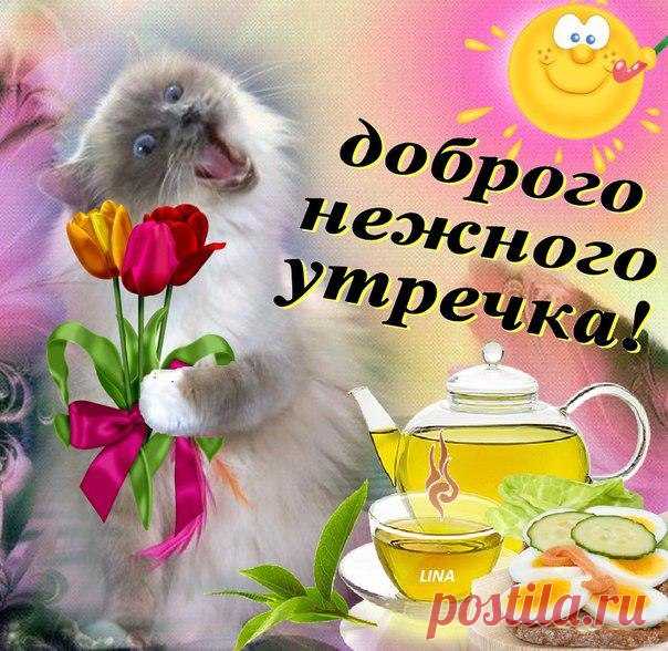 доброе утро