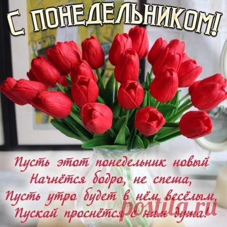 • *¨`* •. ¸• *¨`* •.¸