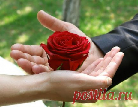 Google+