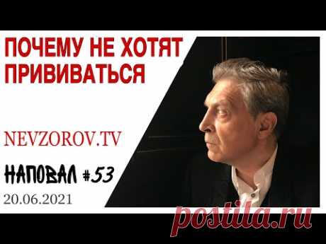 Бал вампиров Единой России, выборы, штыковая вакцинация и вертикальный взлёт бога. Невзоров, Наповал