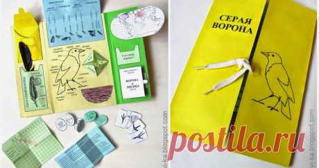 Скачать Скачать бесплатно карточки, шаблоны, игры  и прочий материал для развивающих занятий с детьми. Материалы для обучения дошкольников и младших школьников