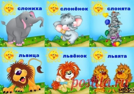 мама с детенышем животные картинки для детей: 12 тыс изображений найдено в Яндекс.Картинках