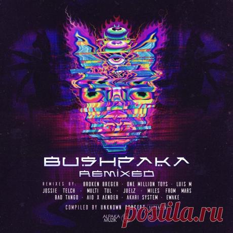 VA - Bushpaka Remixed, Vol. 1 ALPAK188 » MinimalFreaks.co