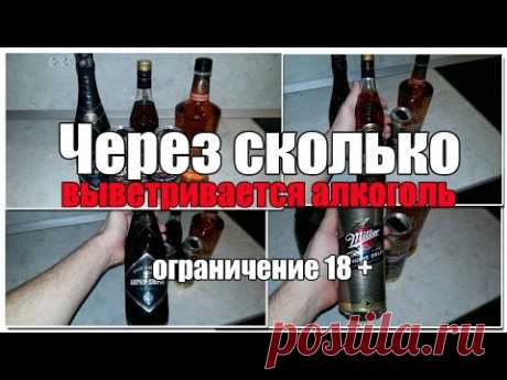Через сколько выветривается алкоголь (пиво, водка, вино)? Разберем различные организмы по таблицам