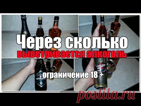 Через сколько выветривается алкоголь (пиво, водка, вино)? Разберем различные организмы по таблицам