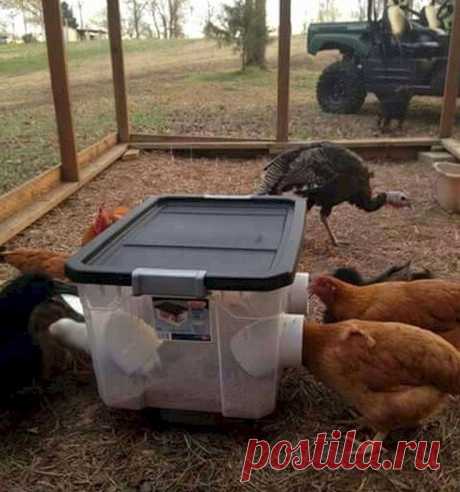 (5) Мой Мир@Mail.Ru