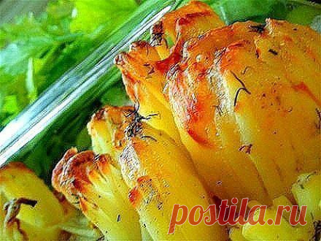 Картофель «Дофинэ»