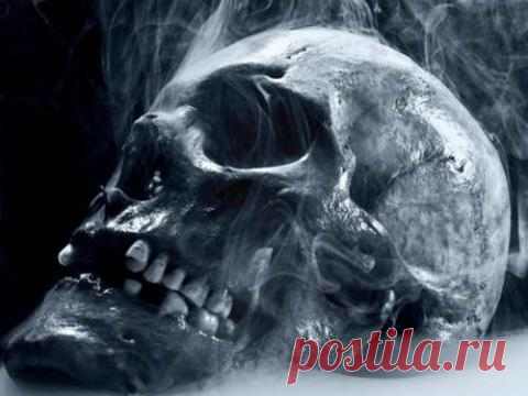 Как определить, что ваша семья проклята | PoZnaku.ru - все о знаках зодиака и гороскопах