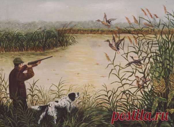 И ты опять, поднявшись до зари, Протрешь еще раз старую двустволку, В рюкзак уложишь соль и сухари И, не будя домашних, втихомолку, Уйдешь, чтоб мокнуть в утренней росе, За сучья елей задевать стволами И на заросшей тальником косе Часами наблюдать за чучелами.