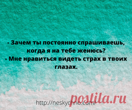 Отборный юмор для заряда позитивом – Нескучно