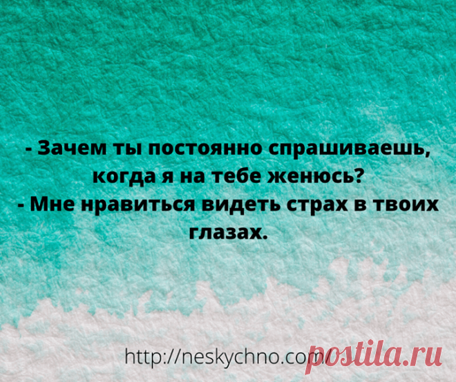 Отборный юмор для заряда позитивом – Нескучно