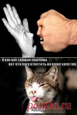 КАК СПРАВИТЬСЯ С ..ХАМОМ? ЛЕГКО- ЭЛЕГАНТНО!