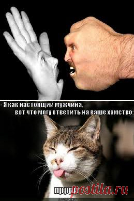 КАК СПРАВИТЬСЯ С ..ХАМОМ? ЛЕГКО- ЭЛЕГАНТНО!